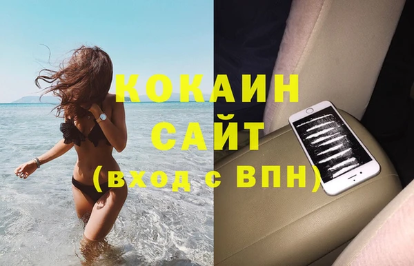 бошки Бородино